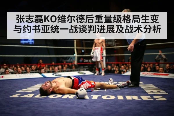 boxing knockout